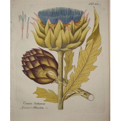 Artichaut Feuille 250 gr