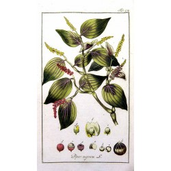 Whole Black Pepper 1 kg