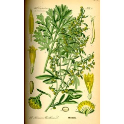 Absinthe 250 gr