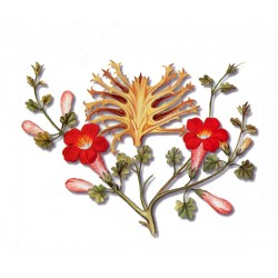 Devil's Claw Root 250 gr