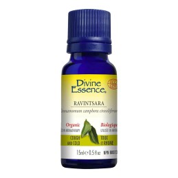 Ravintsara Organic - 15ml