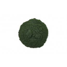 Organic Spirulina (powder) - Anthrospira platensis