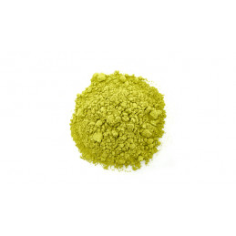 Moringa (leaves) Organic Powder - Moringa oleifera