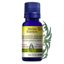 Eucalyptus Blue Gum Organic - 15ml