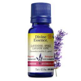 Lavender Spike Organic - 15ml