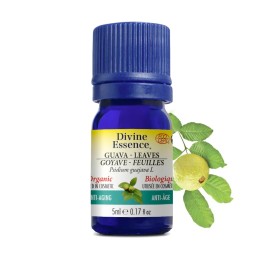 Guava Leaves Organic - 5ml
