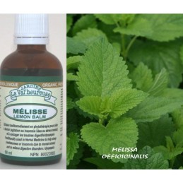 Lemon Balm 50ml (1.75oz)