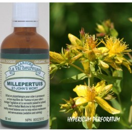 St-John's wort Tincture - 50ml