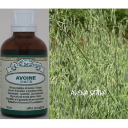 Avoine