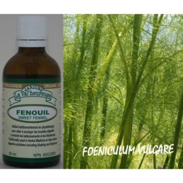 Sweet Fennel - 50ml
