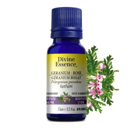 Geranium Rose (Egypt) - 15ml