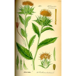 Safflower 250 gr