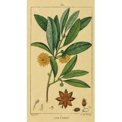 Anise Star Seed 250 gr